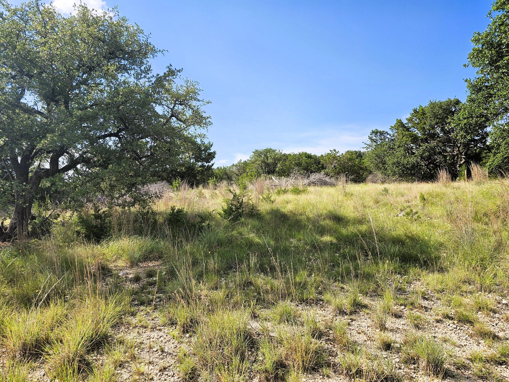 100 Reavis Dr, Kempner, TX 76539