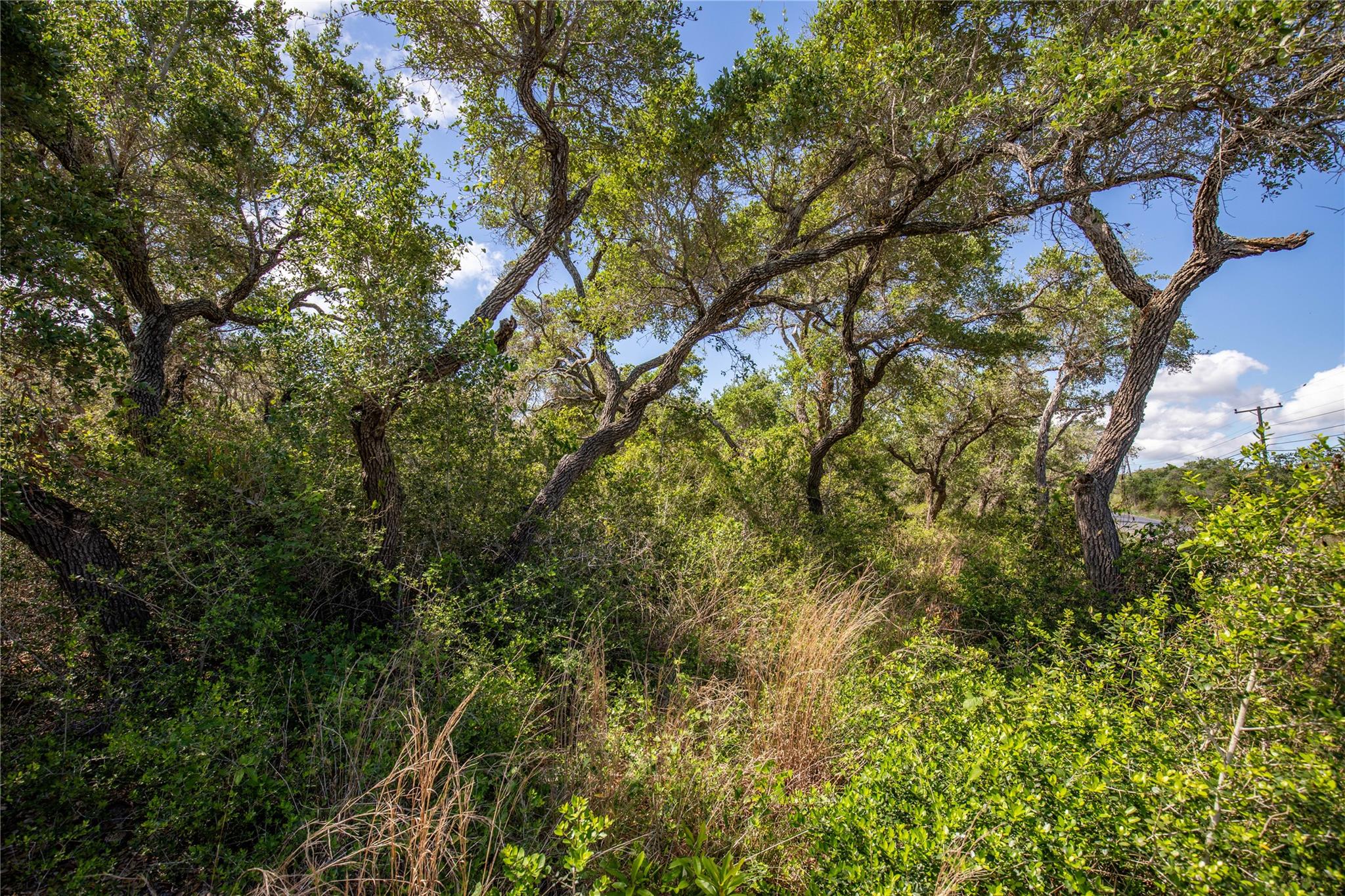 0 N McCampbell St, Aransas Pass, TX 78336