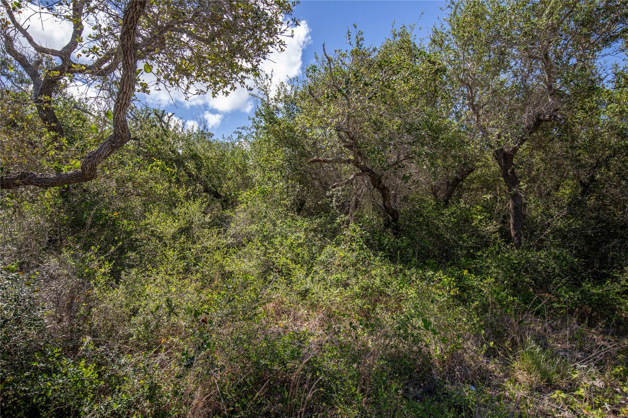 0 N McCampbell St, Aransas Pass, TX 78336