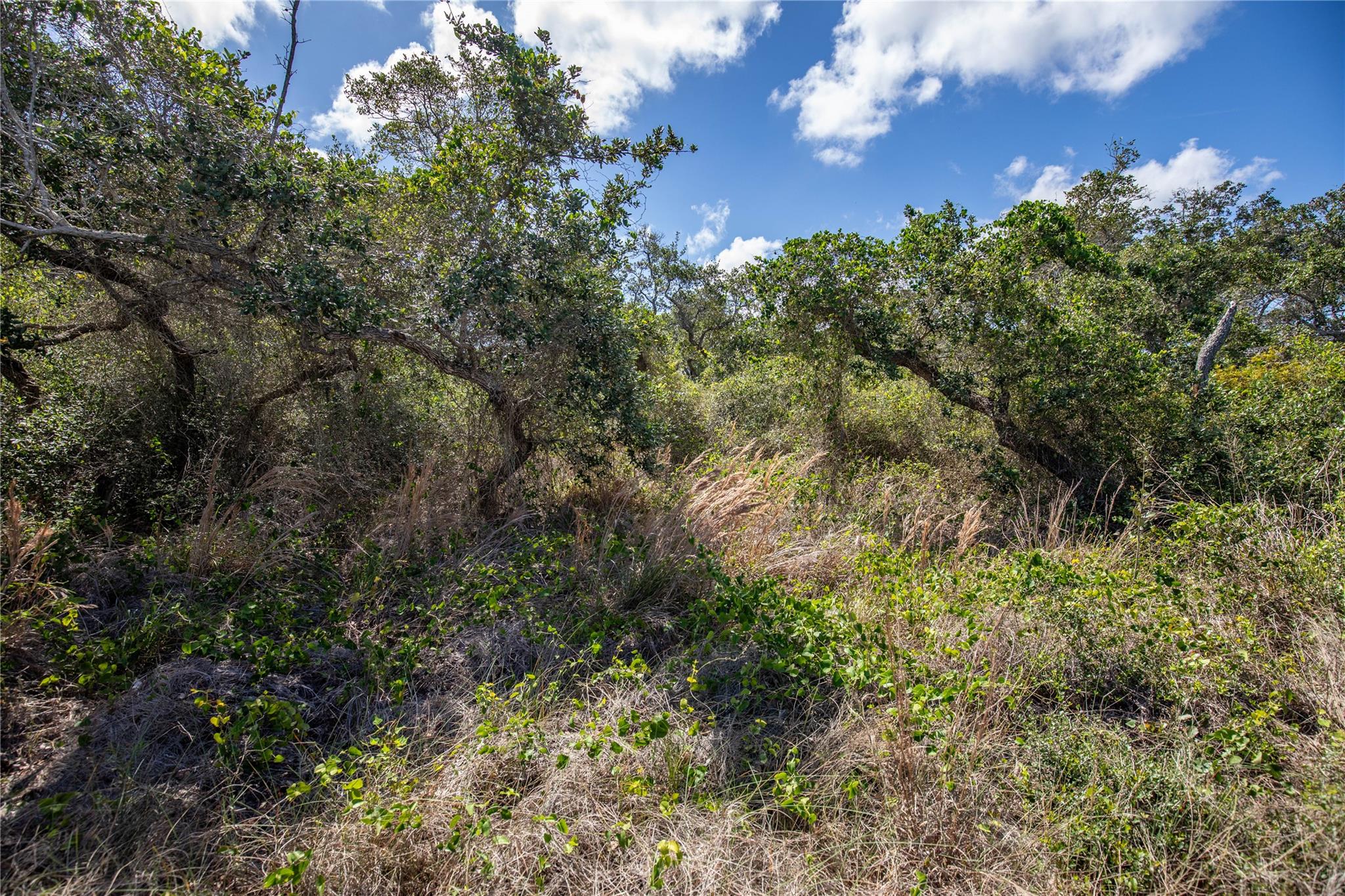 0 N McCampbell St, Aransas Pass, TX 78336