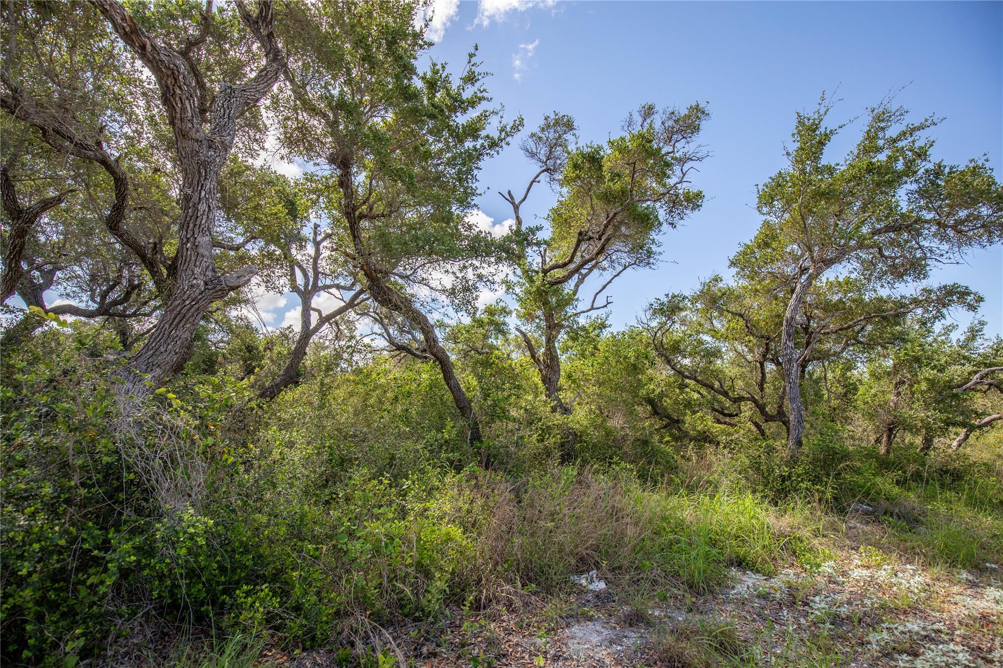 0 N McCampbell St, Aransas Pass, TX 78336