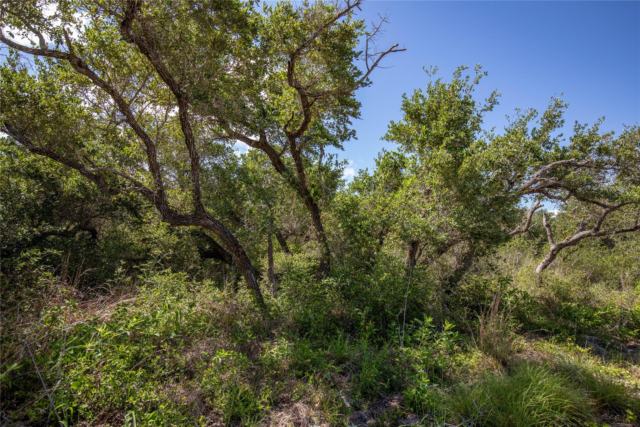 0 N McCampbell St, Aransas Pass, TX 78336