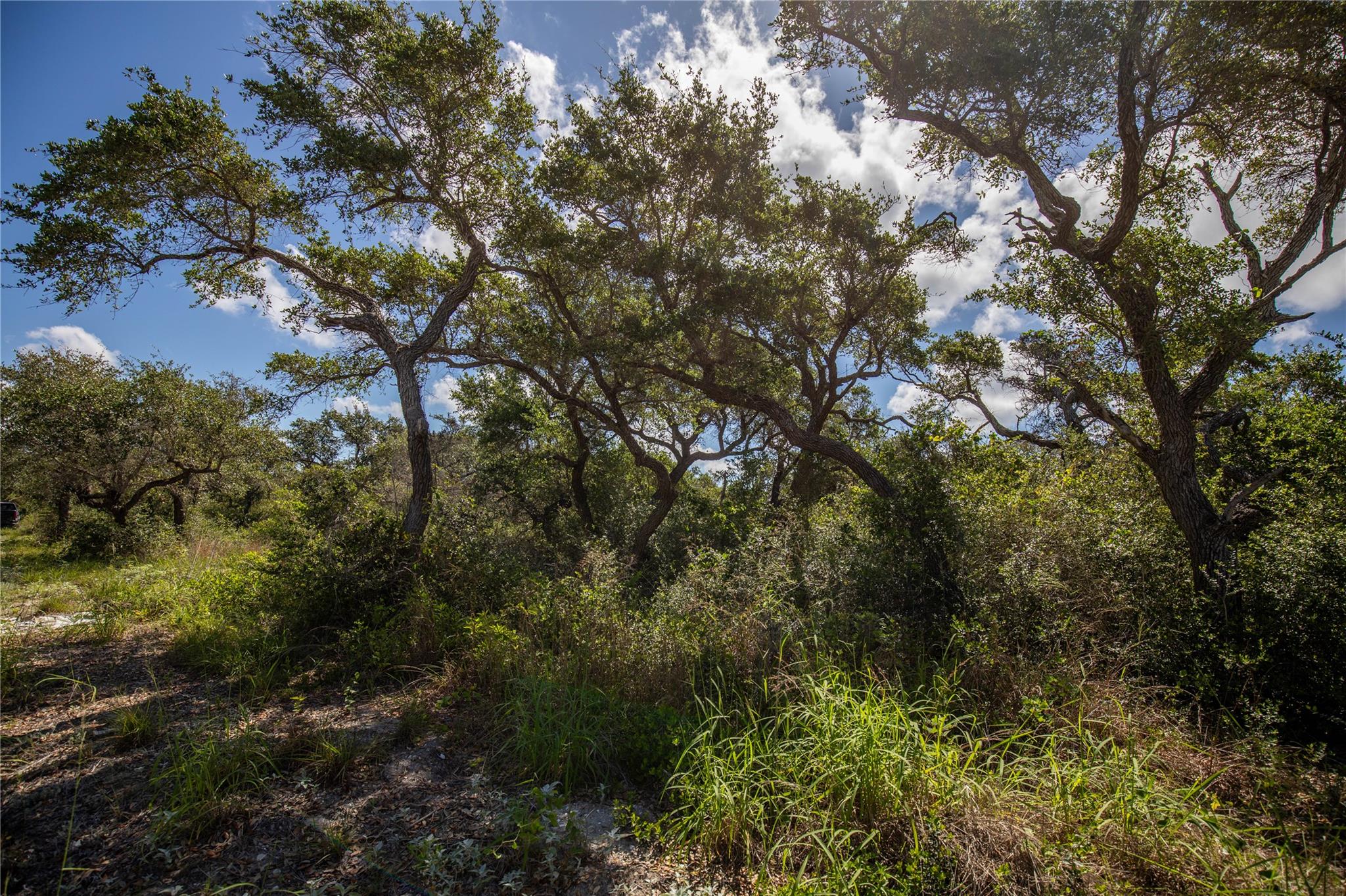 0 N McCampbell St, Aransas Pass, TX 78336