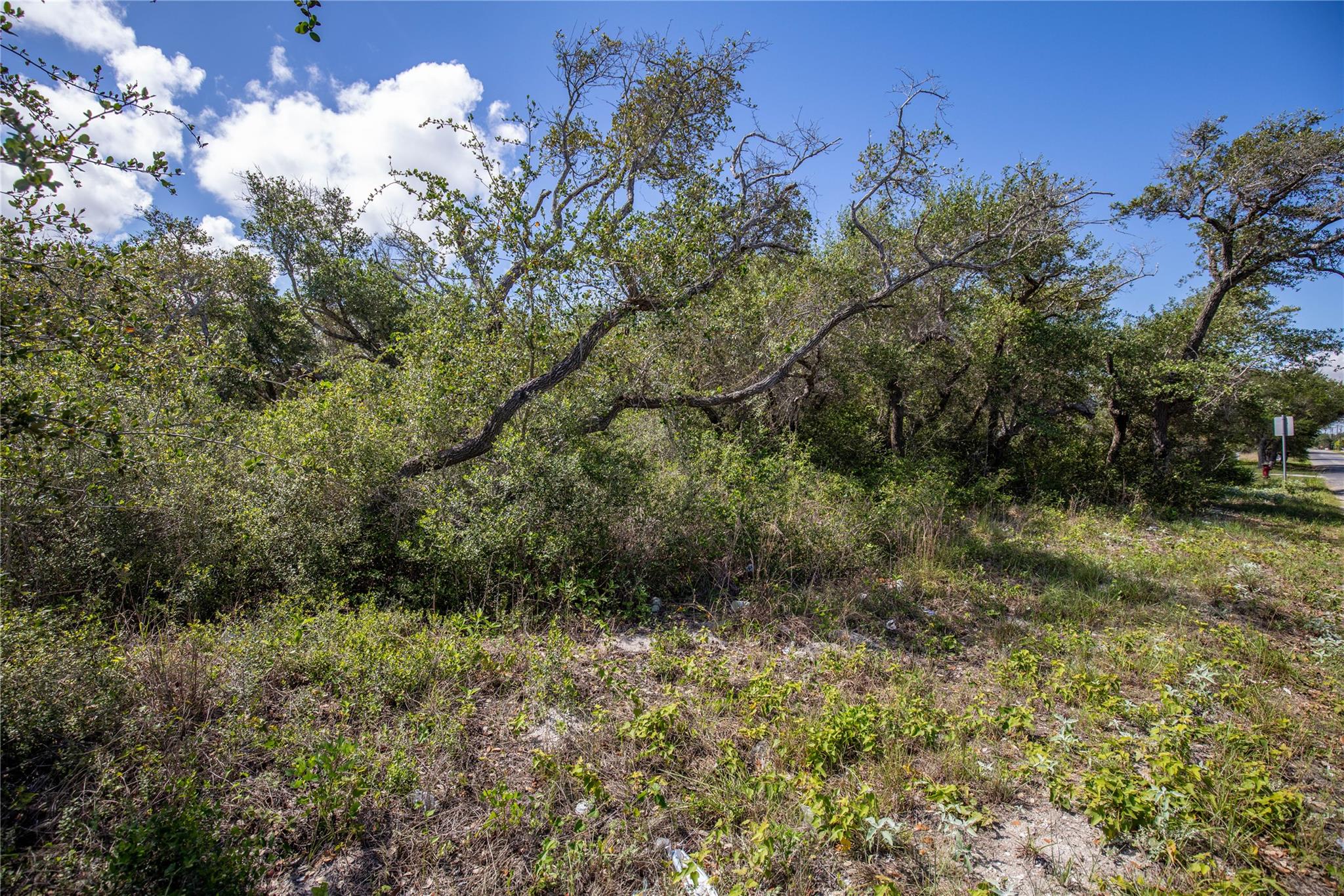 0 N McCampbell St, Aransas Pass, TX 78336