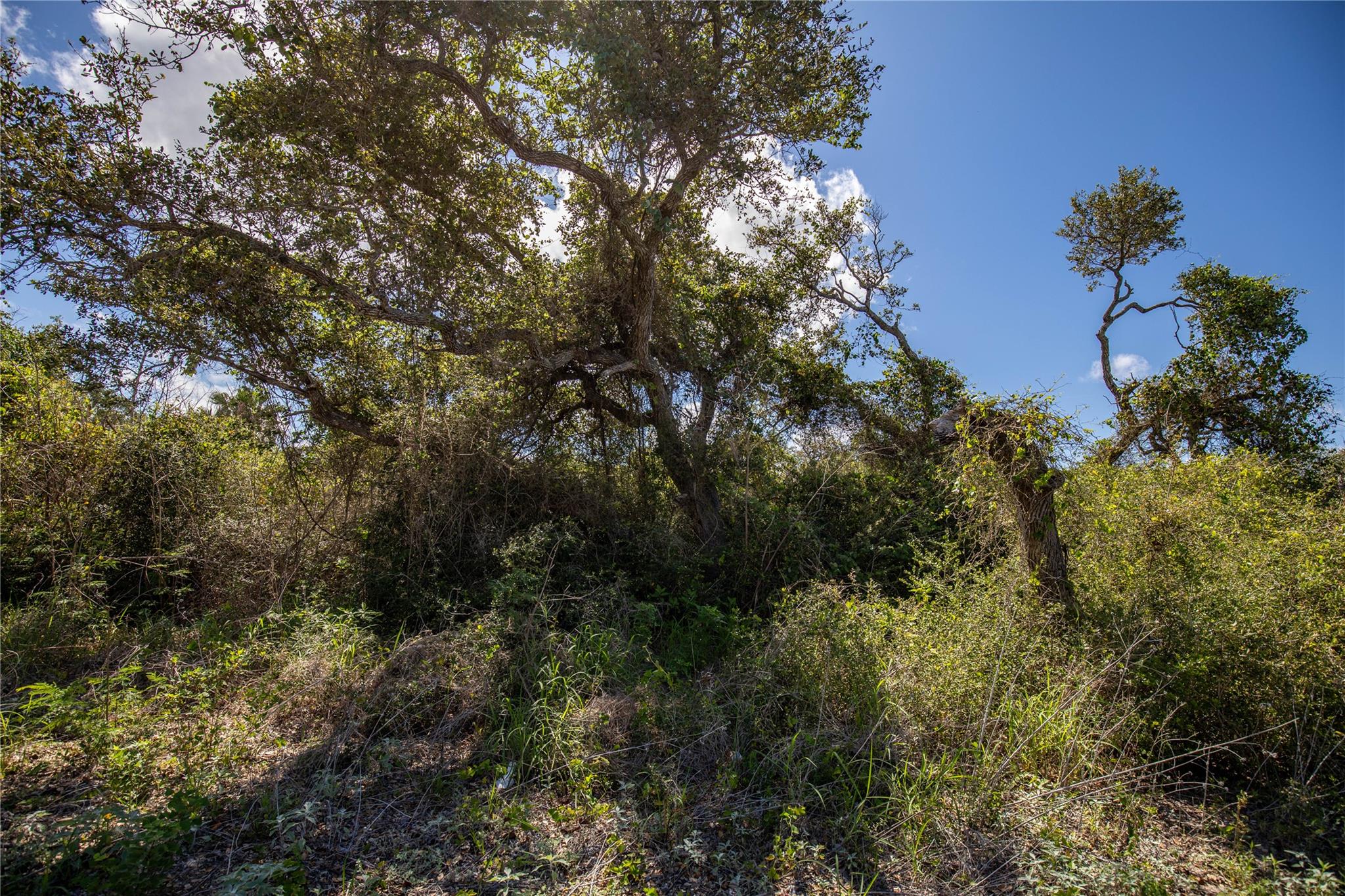 0 N McCampbell St, Aransas Pass, TX 78336