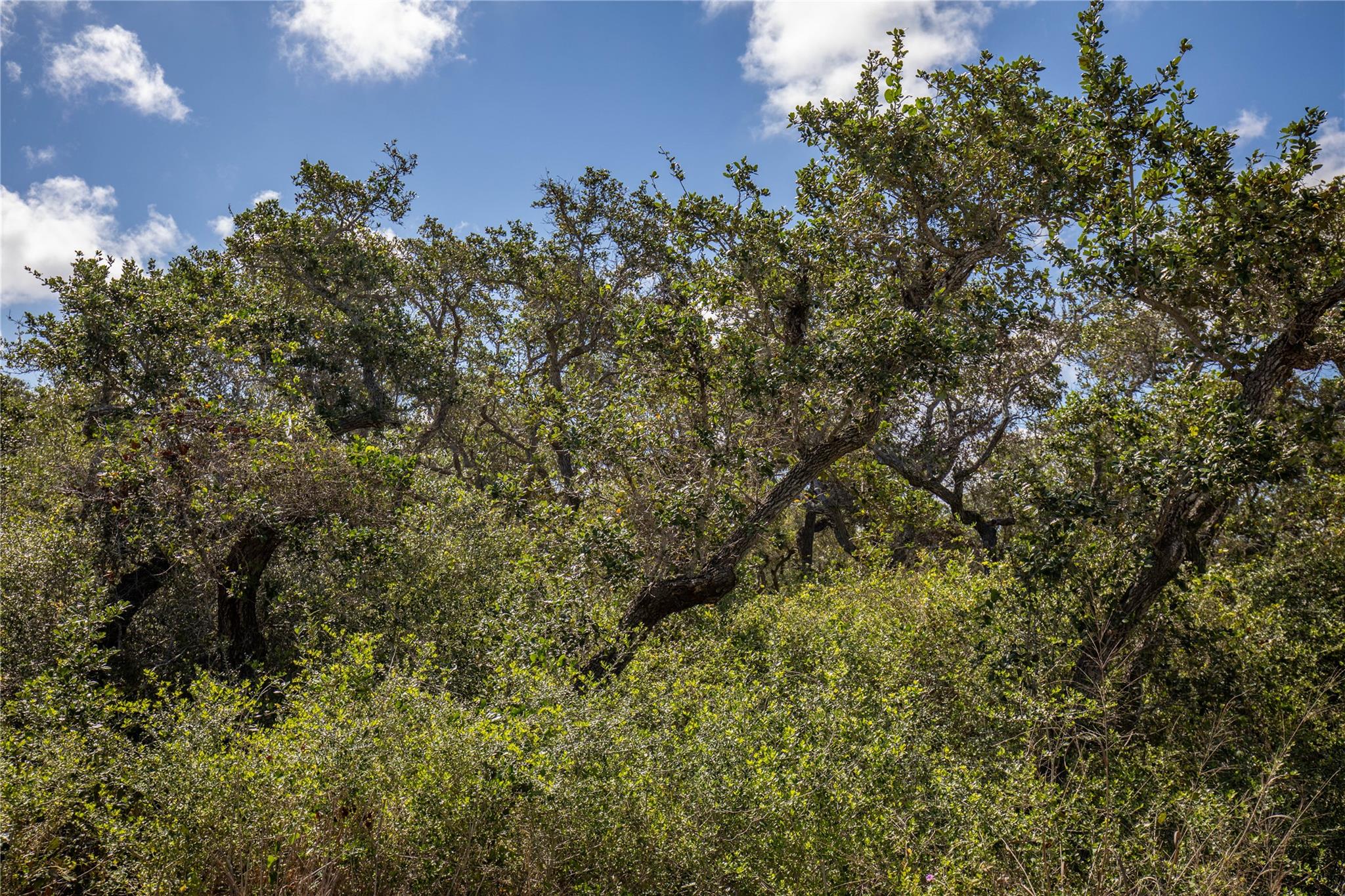 0 N McCampbell St, Aransas Pass, TX 78336