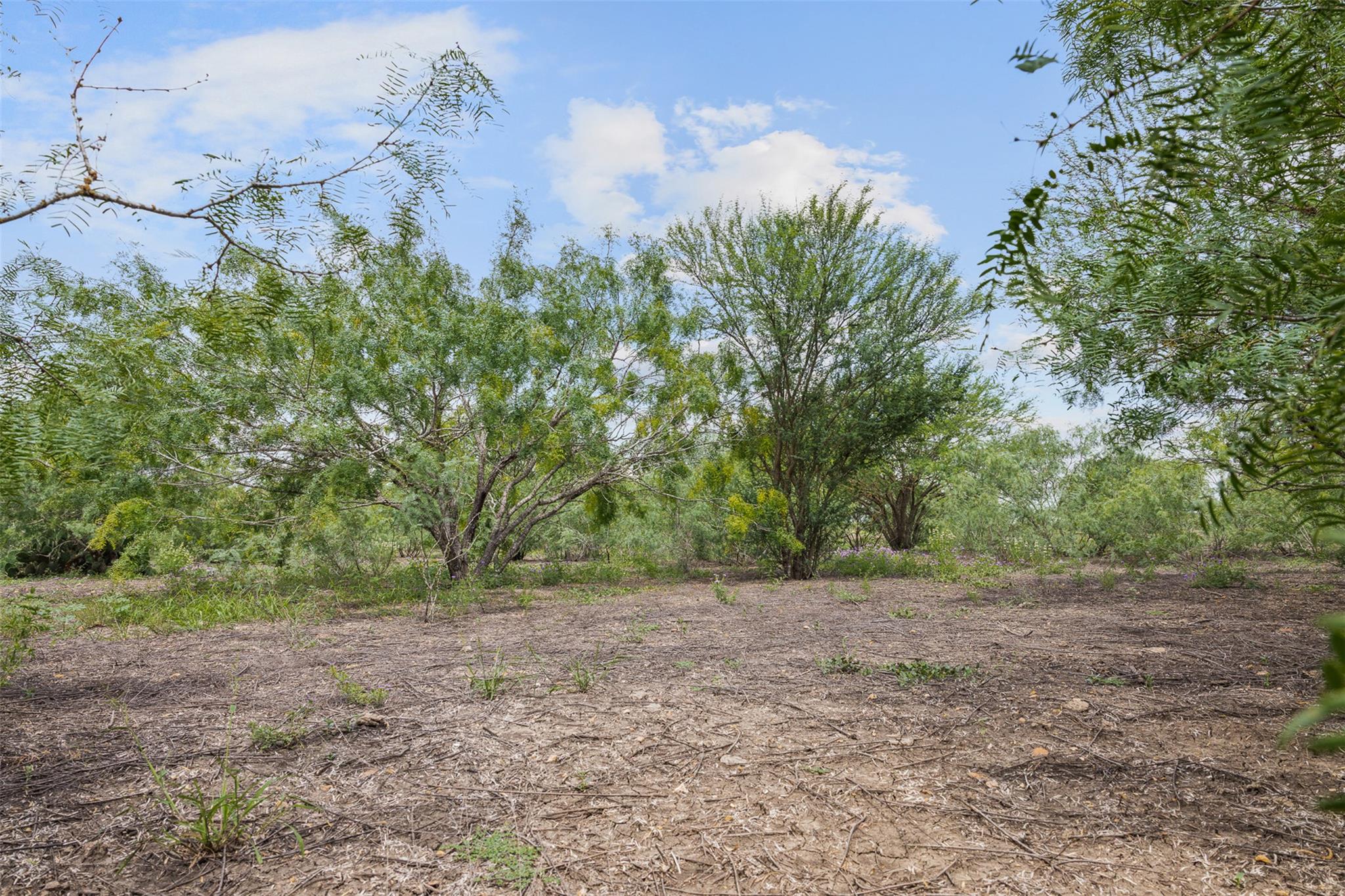 3315 Dry Creek Rd, Lockhart, TX 78644