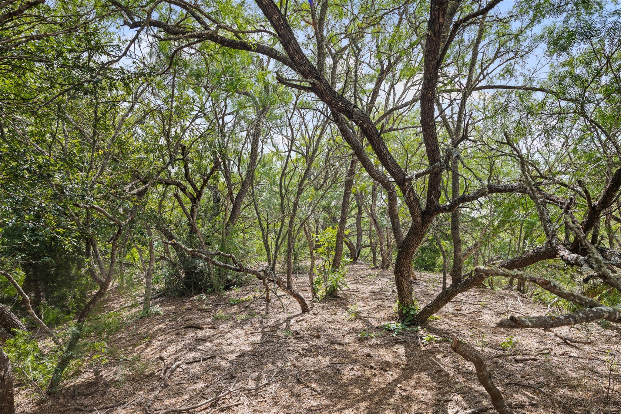 3315 Dry Creek Rd, Lockhart, TX 78644