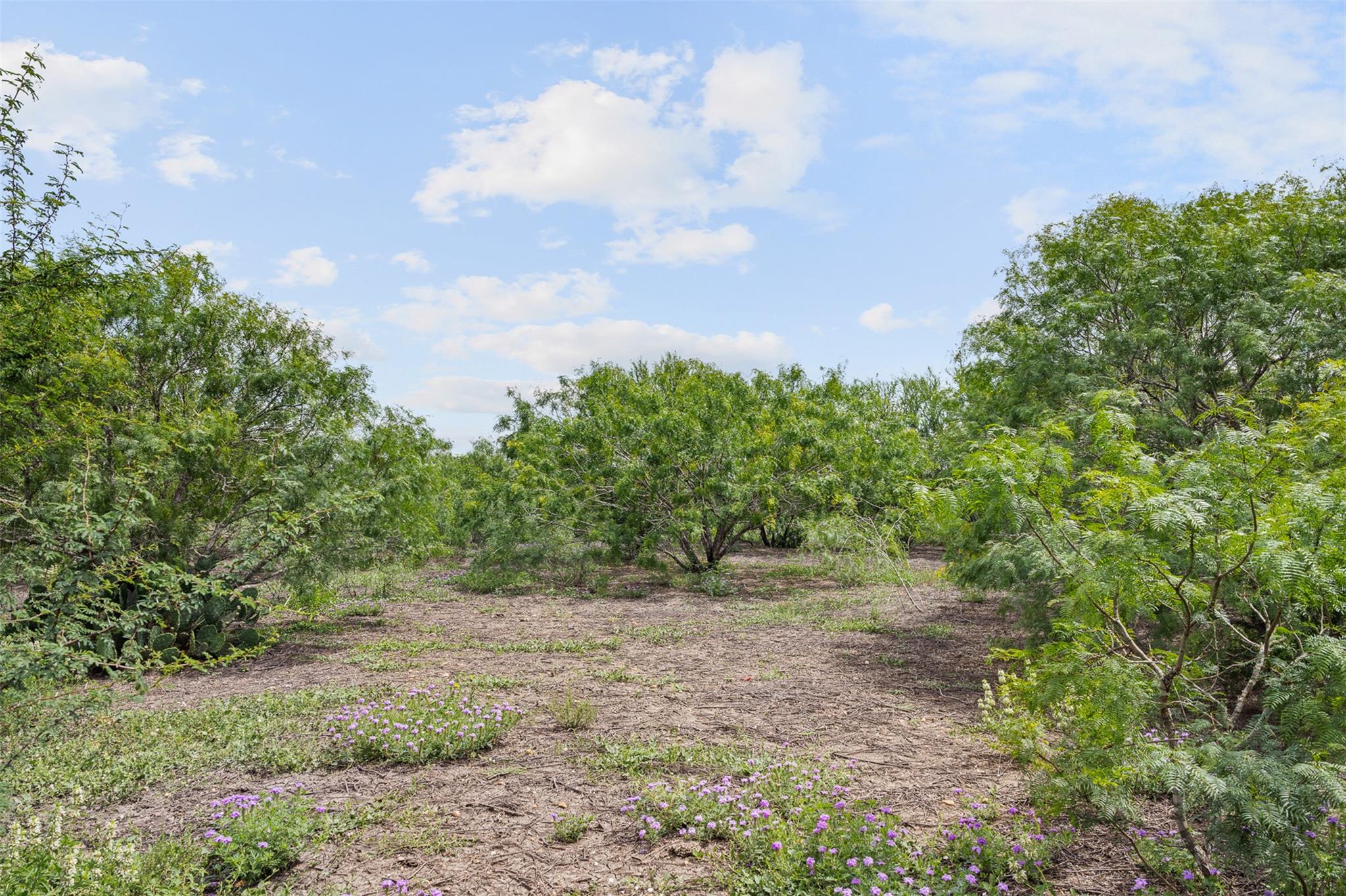3315 Dry Creek Rd, Lockhart, TX 78644