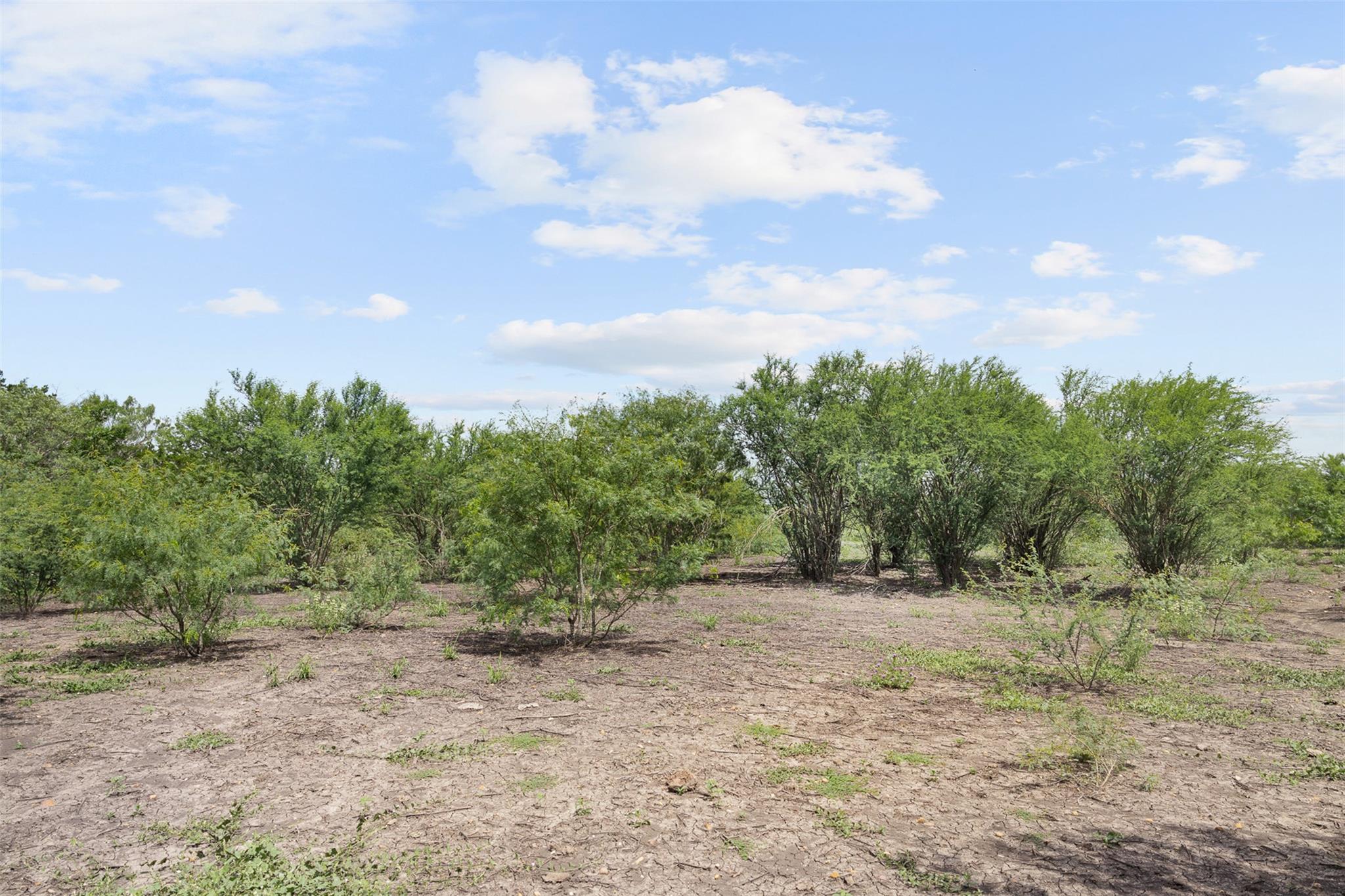 3315 Dry Creek Rd, Lockhart, TX 78644