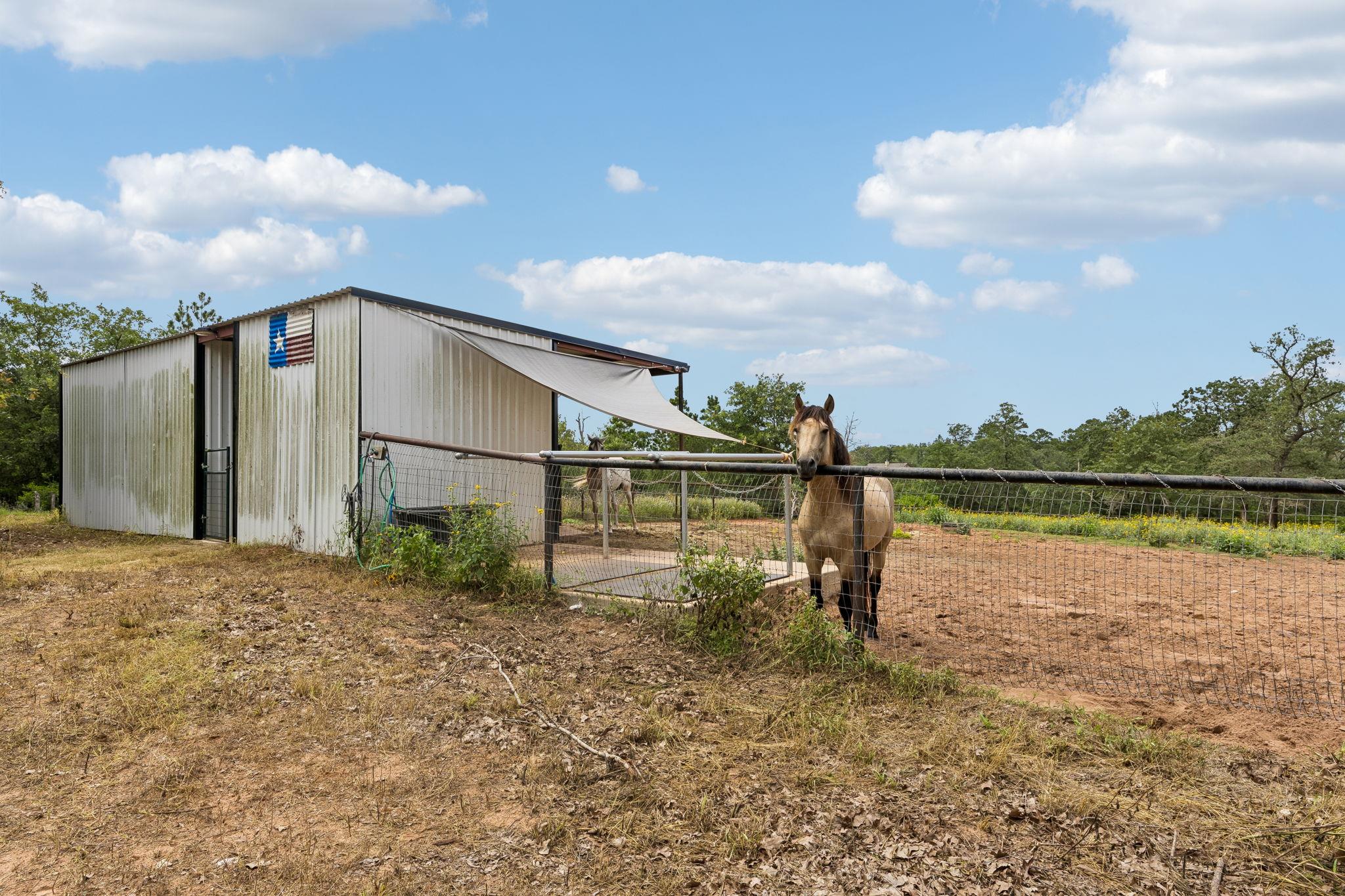 143 W Tanglebriar Ct, Bastrop, TX 78602