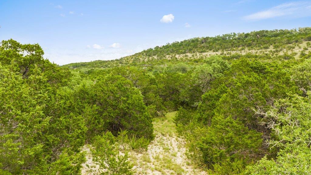 11551 Ranch Rd 12, Wimberley, TX 78676