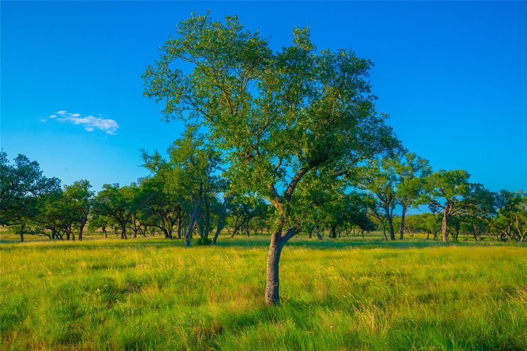 0 High Point Ranch, Johnson City, TX 78636