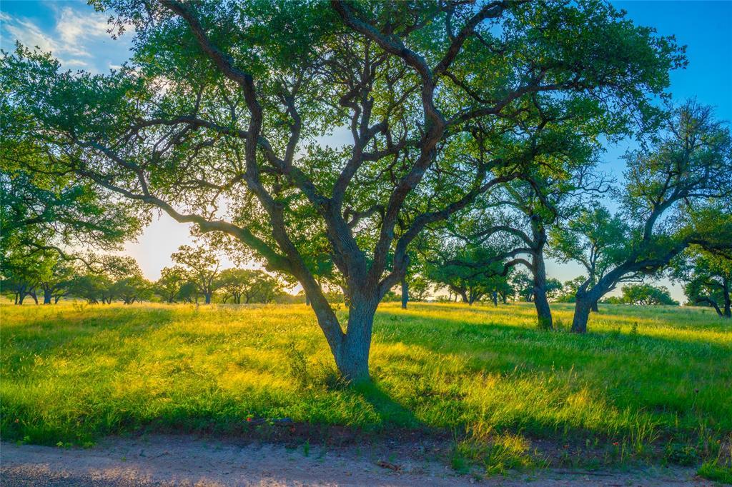 0 High Point Ranch, Johnson City, TX 78636