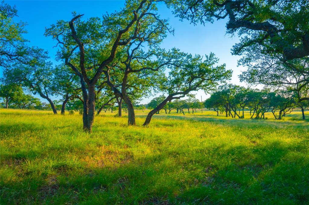 0 High Point Ranch, Johnson City, TX 78636