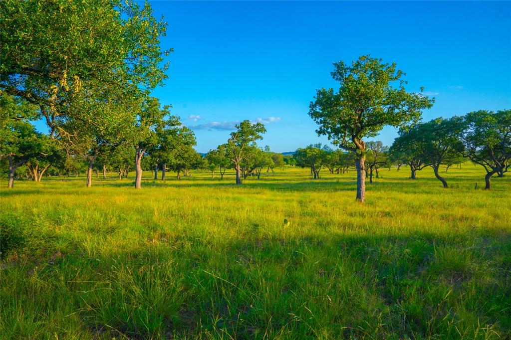 0 High Point Ranch, Johnson City, TX 78636