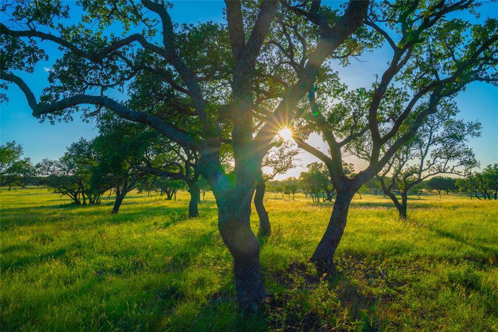 0 High Point Ranch, Johnson City, TX 78636