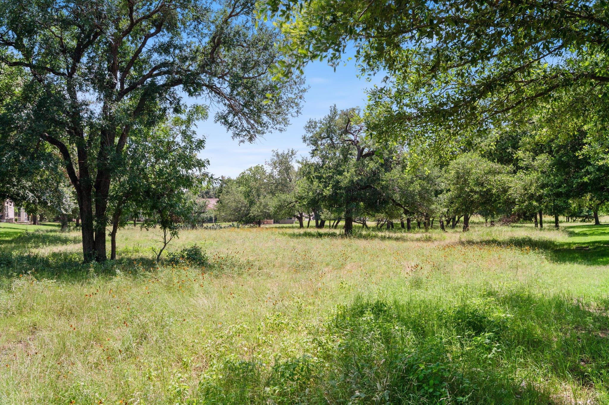 226 Winter Dr, Georgetown, TX 78633