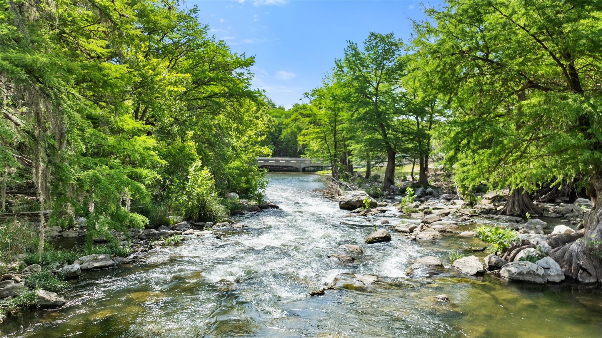 1242 Ervendberg Ave # Lot 2, New Braunfels, TX 78130