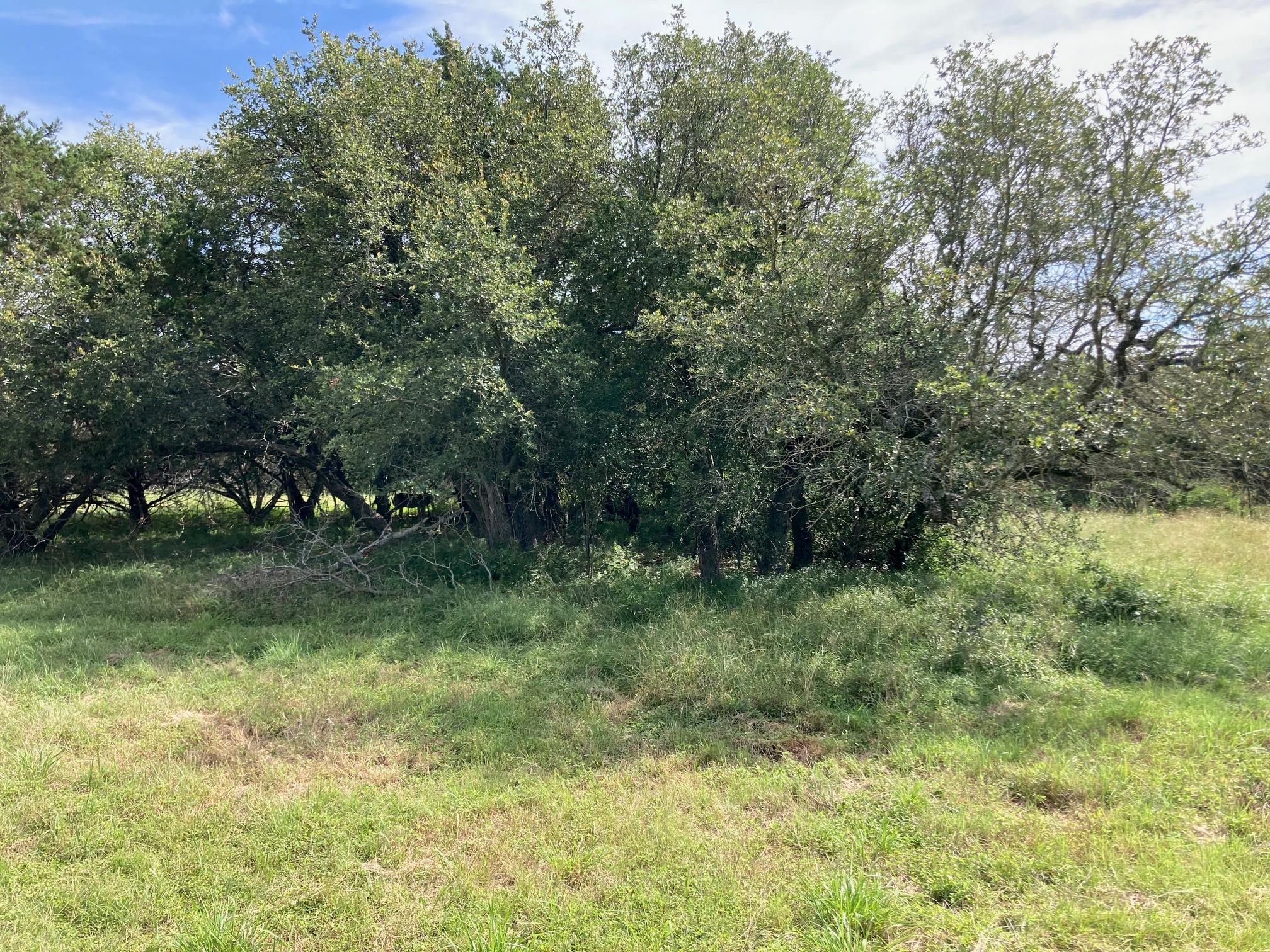 1050 Harmon Hills Rd, Dripping Springs, TX 78620