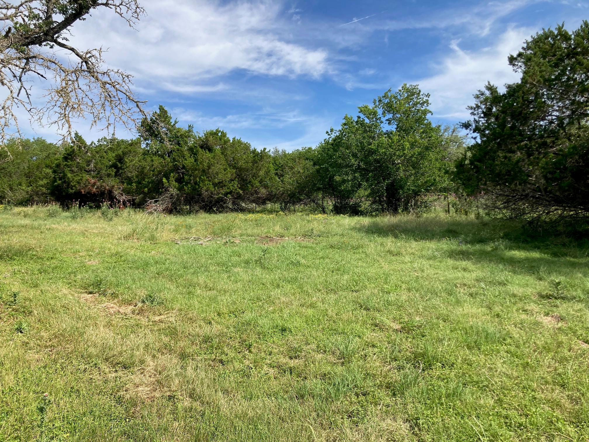 1050 Harmon Hills Rd, Dripping Springs, TX 78620