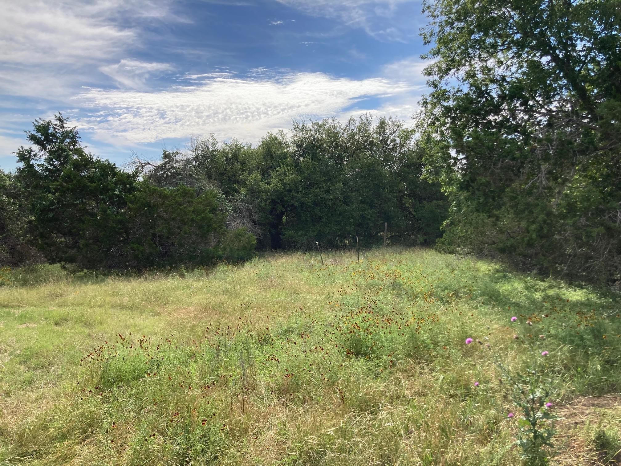 1050 Harmon Hills Rd, Dripping Springs, TX 78620