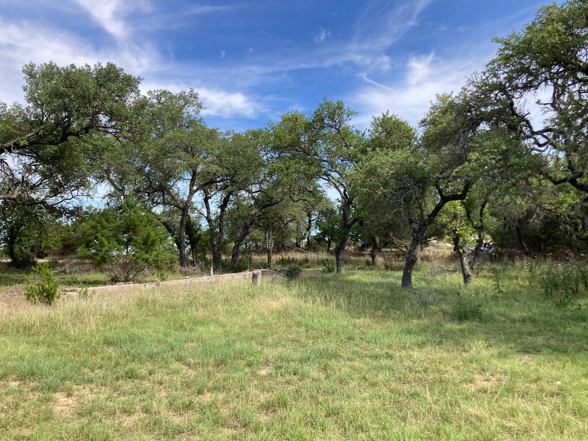 1050 Harmon Hills Rd, Dripping Springs, TX 78620