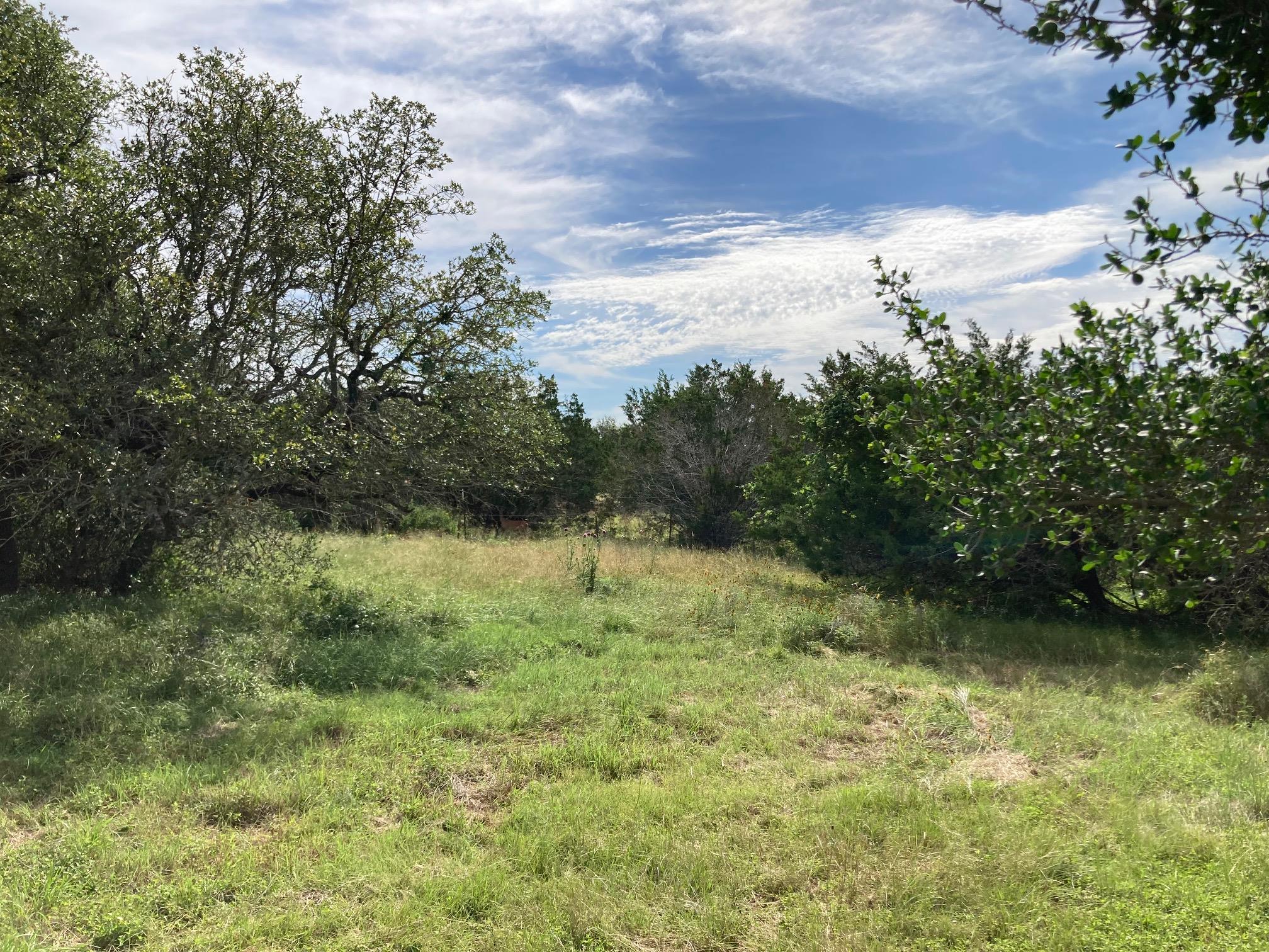 1050 Harmon Hills Rd, Dripping Springs, TX 78620