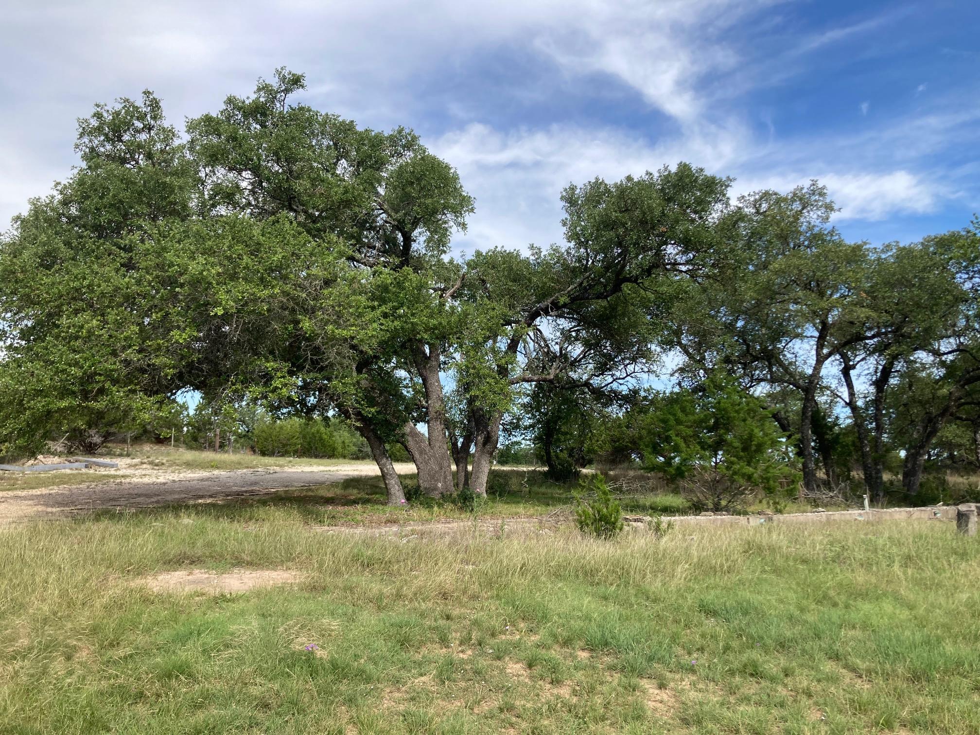 1050 Harmon Hills Rd, Dripping Springs, TX 78620