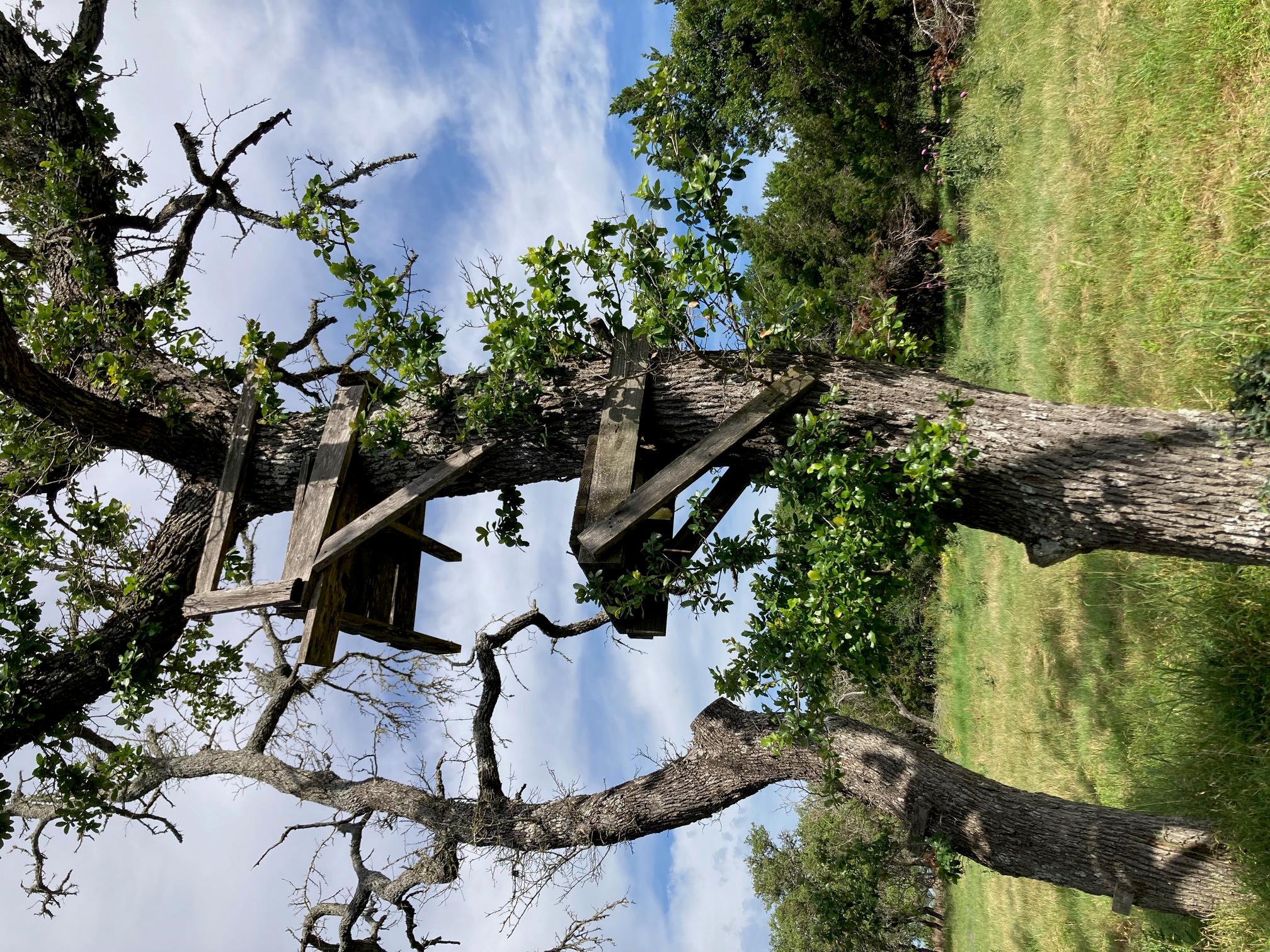 1050 Harmon Hills Rd, Dripping Springs, TX 78620