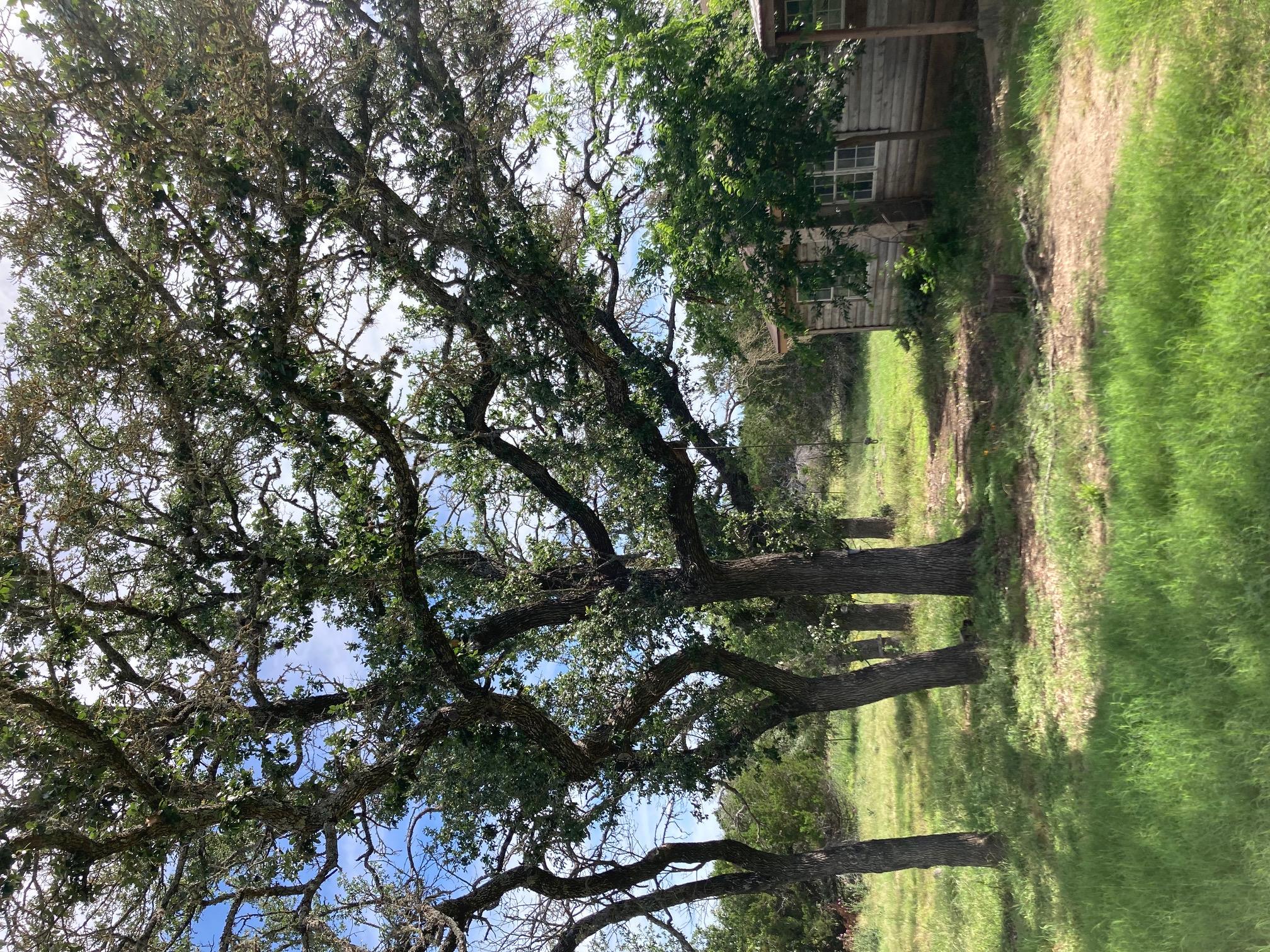 1050 Harmon Hills Rd, Dripping Springs, TX 78620