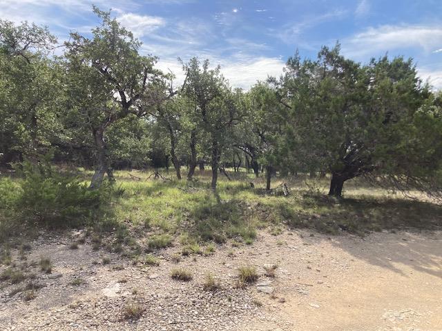 1050 Harmon Hills Rd, Dripping Springs, TX 78620