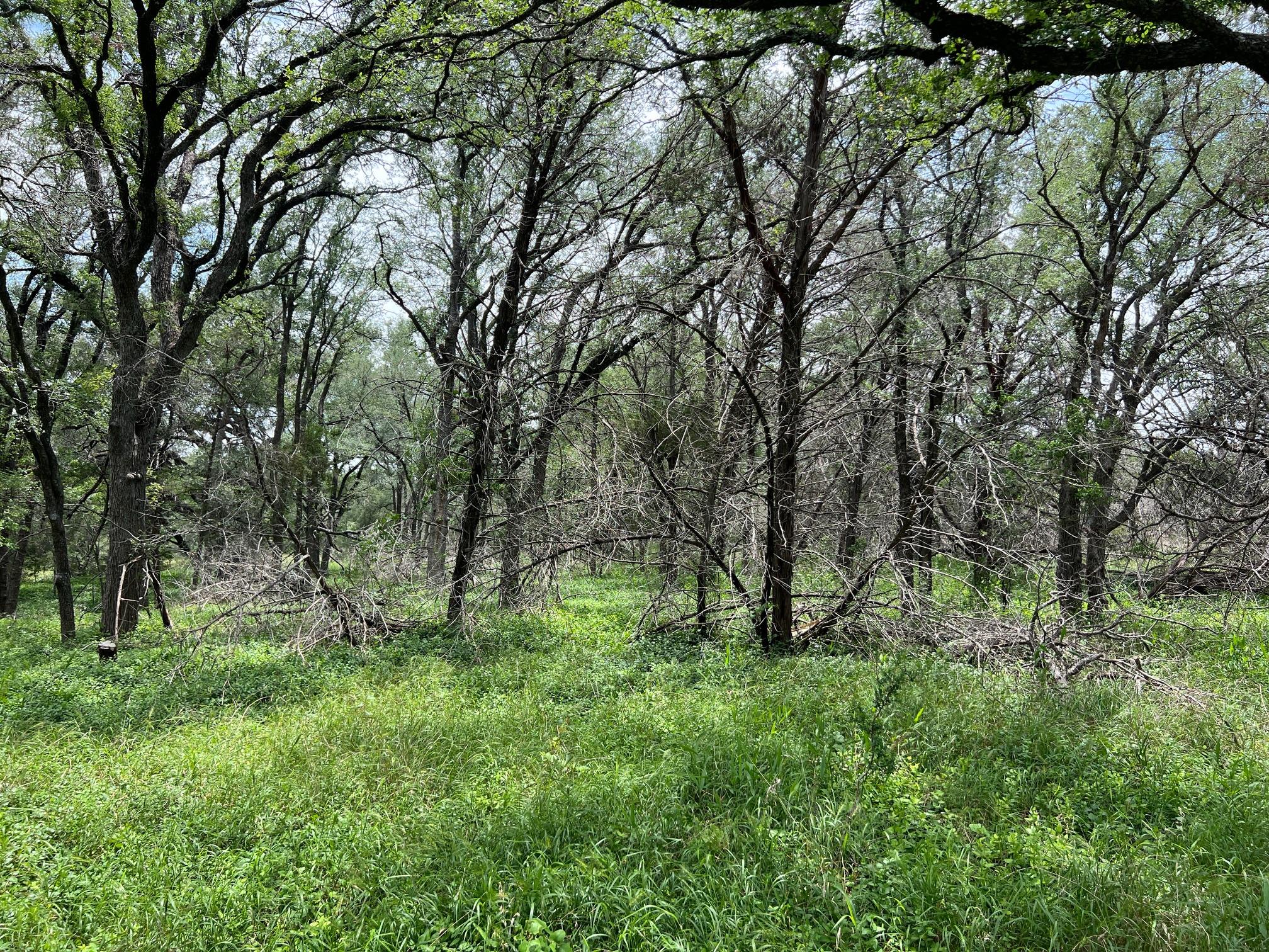 TBD Lot PT 19 Narrows Rd, Blanco, TX 78606