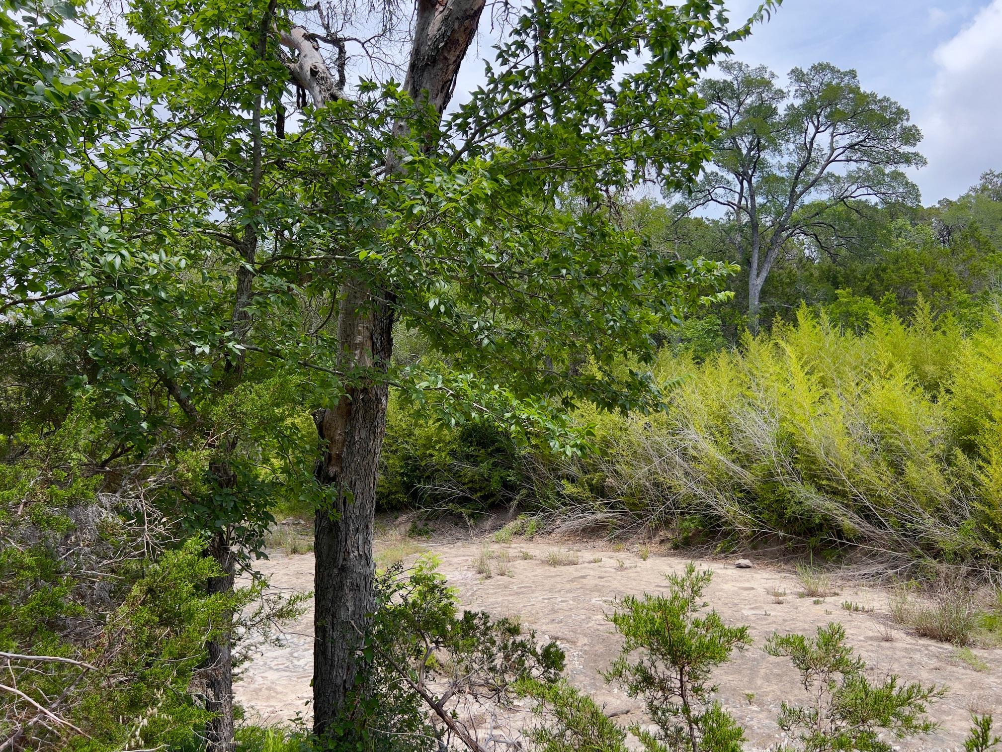 TBD Lot PT 19 Narrows Rd, Blanco, TX 78606