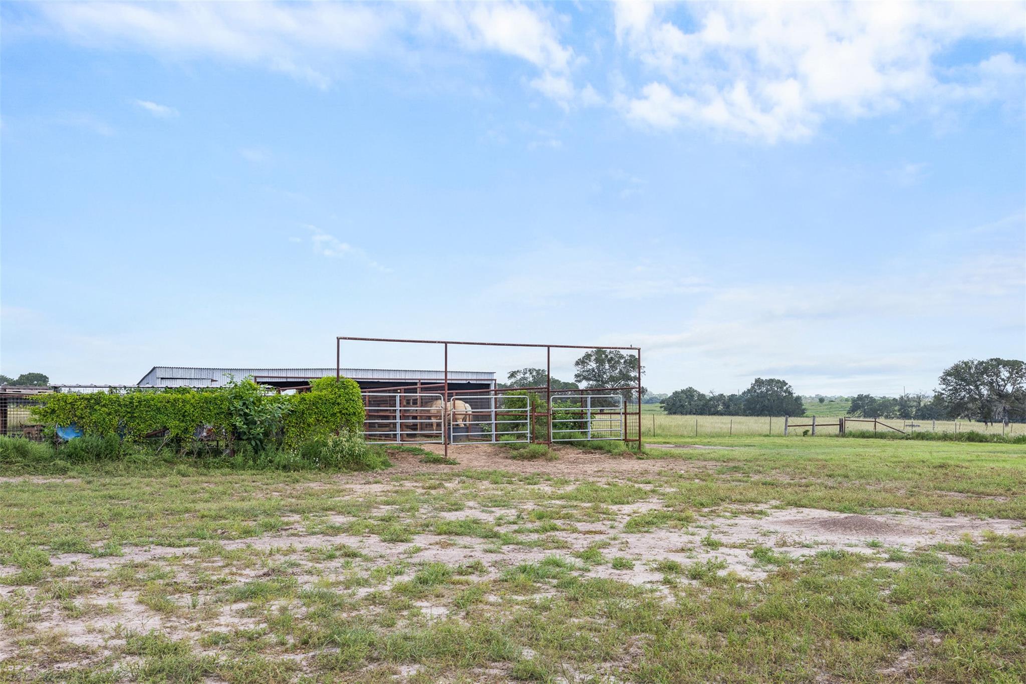 1347 County Road 426, Dime Box, TX 77853