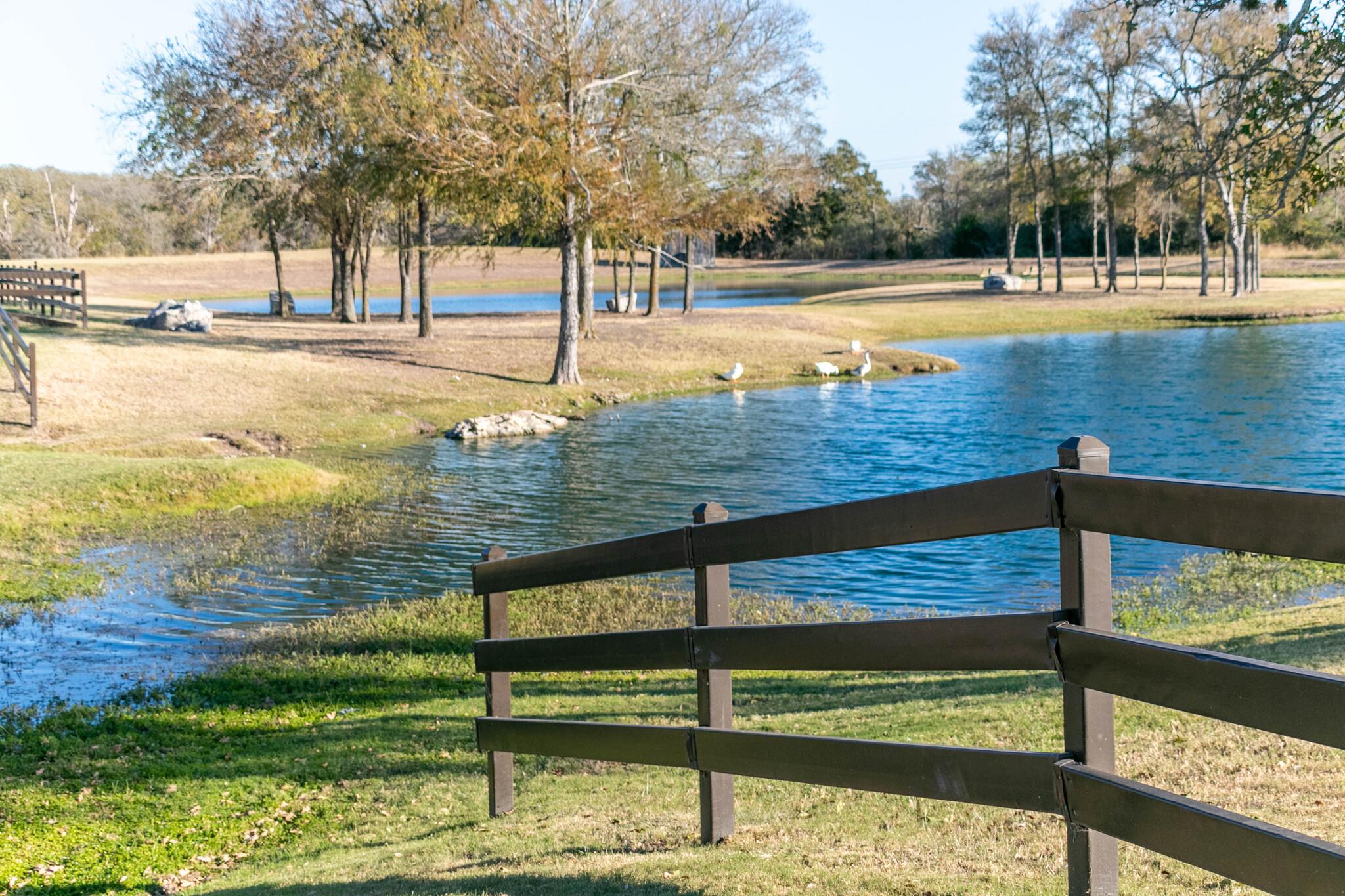 134 Kildrummy Pass, Bastrop, TX 78602