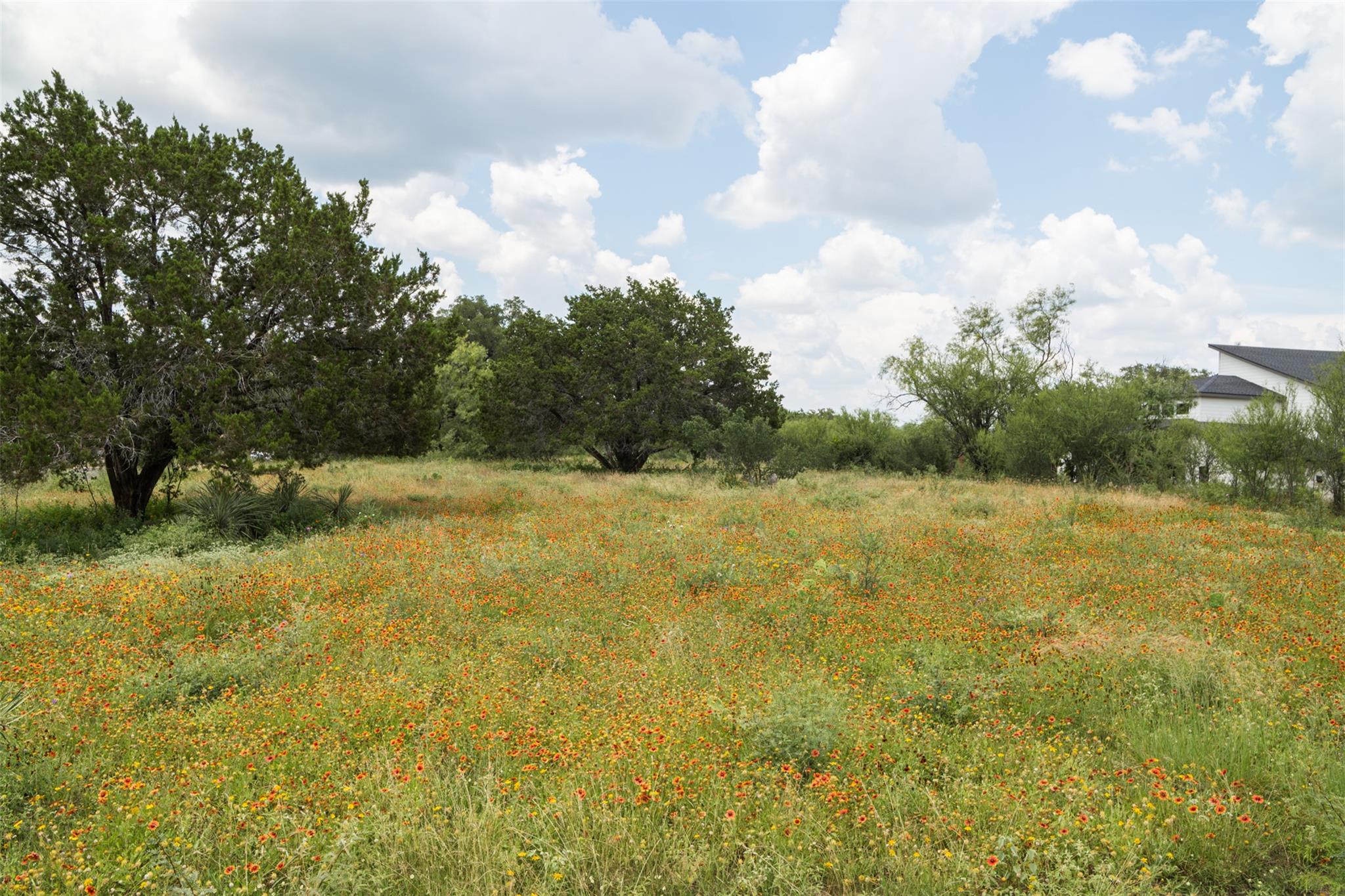 828 Wesley Ridge Dr, Spicewood, TX 78669