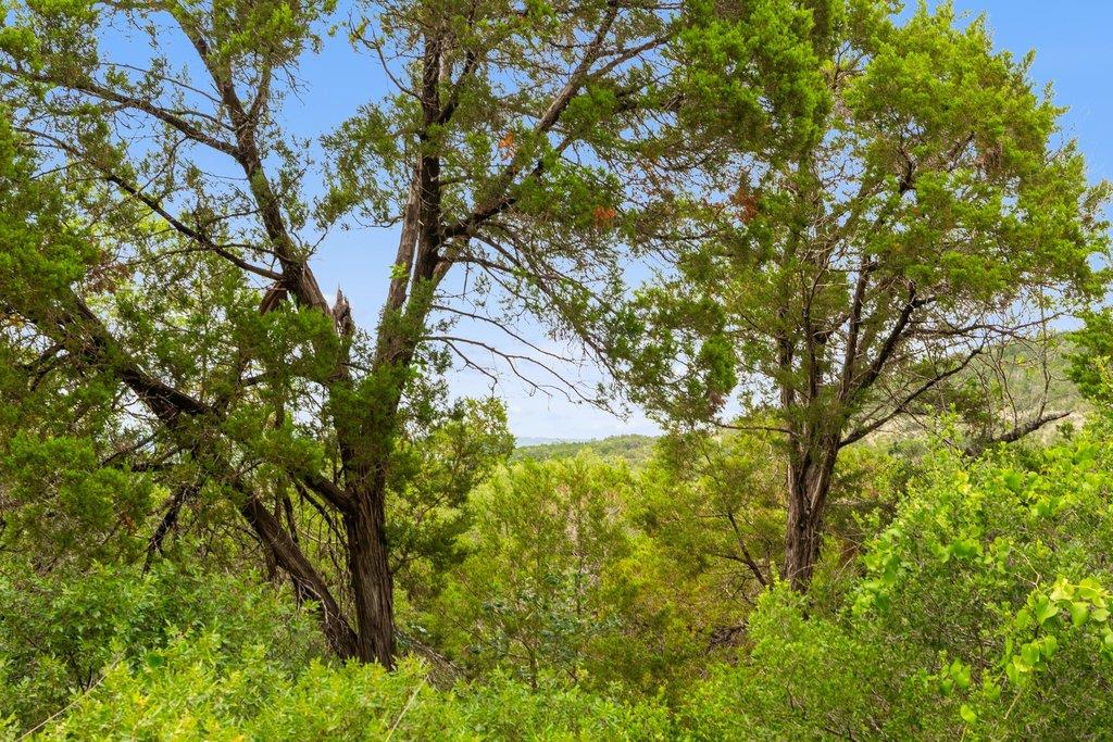 11551 Ranch Rd 12, Wimberley, TX 78676