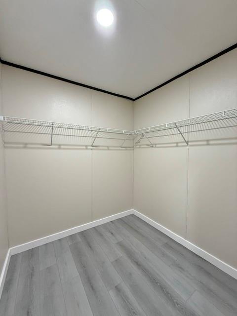 393 Duchess Pass, Kyle, TX 78640