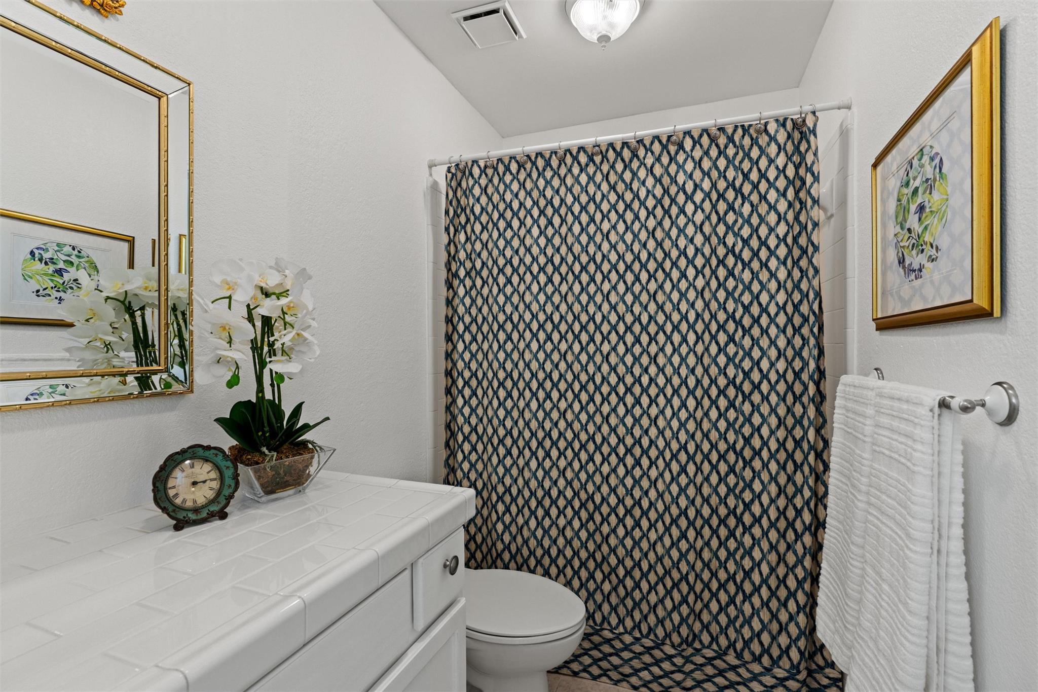 1202 Woodhollow Cv, Cedar Park, TX 78613