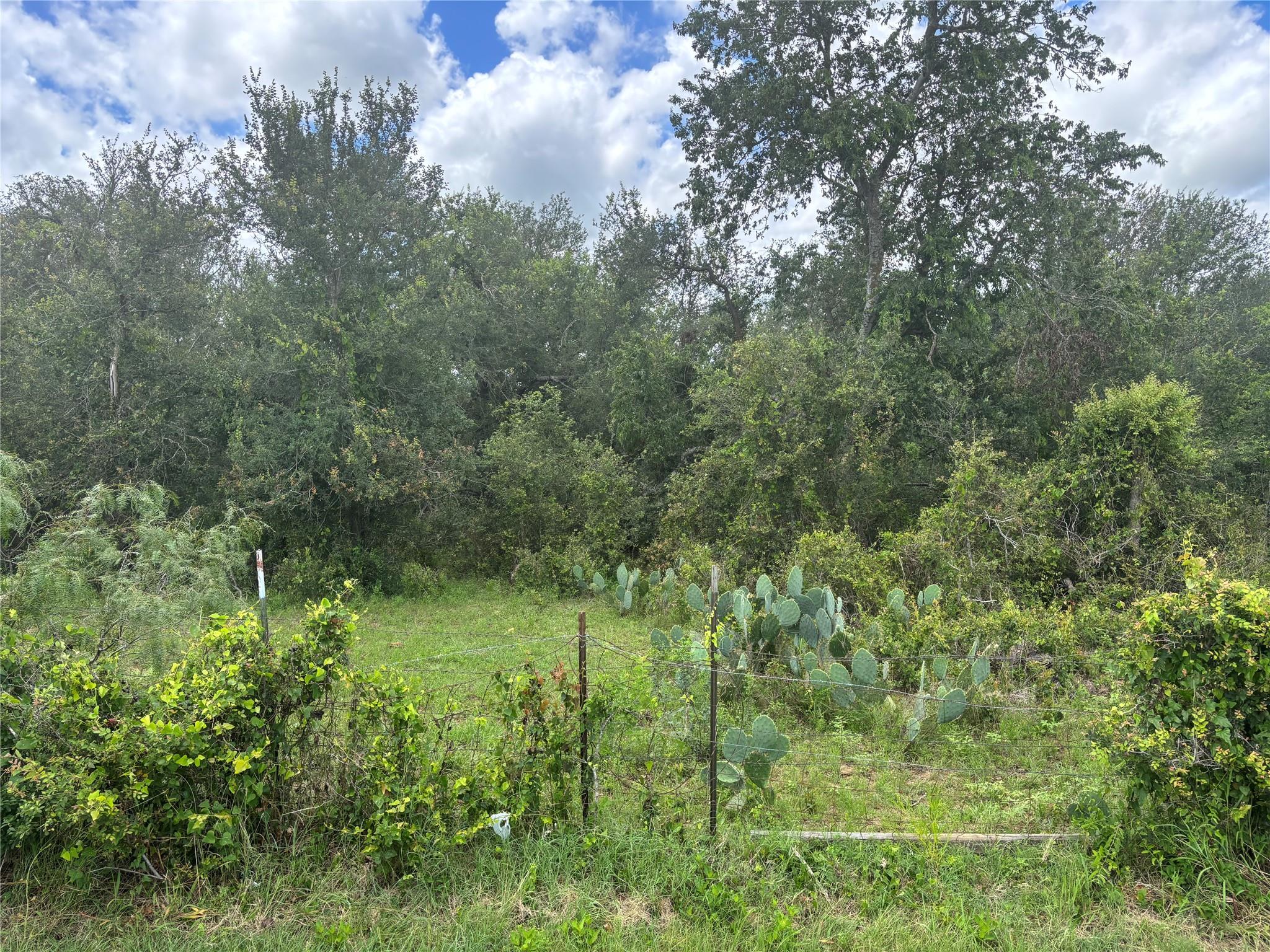 TBD CR 472, Thrall, TX 76578