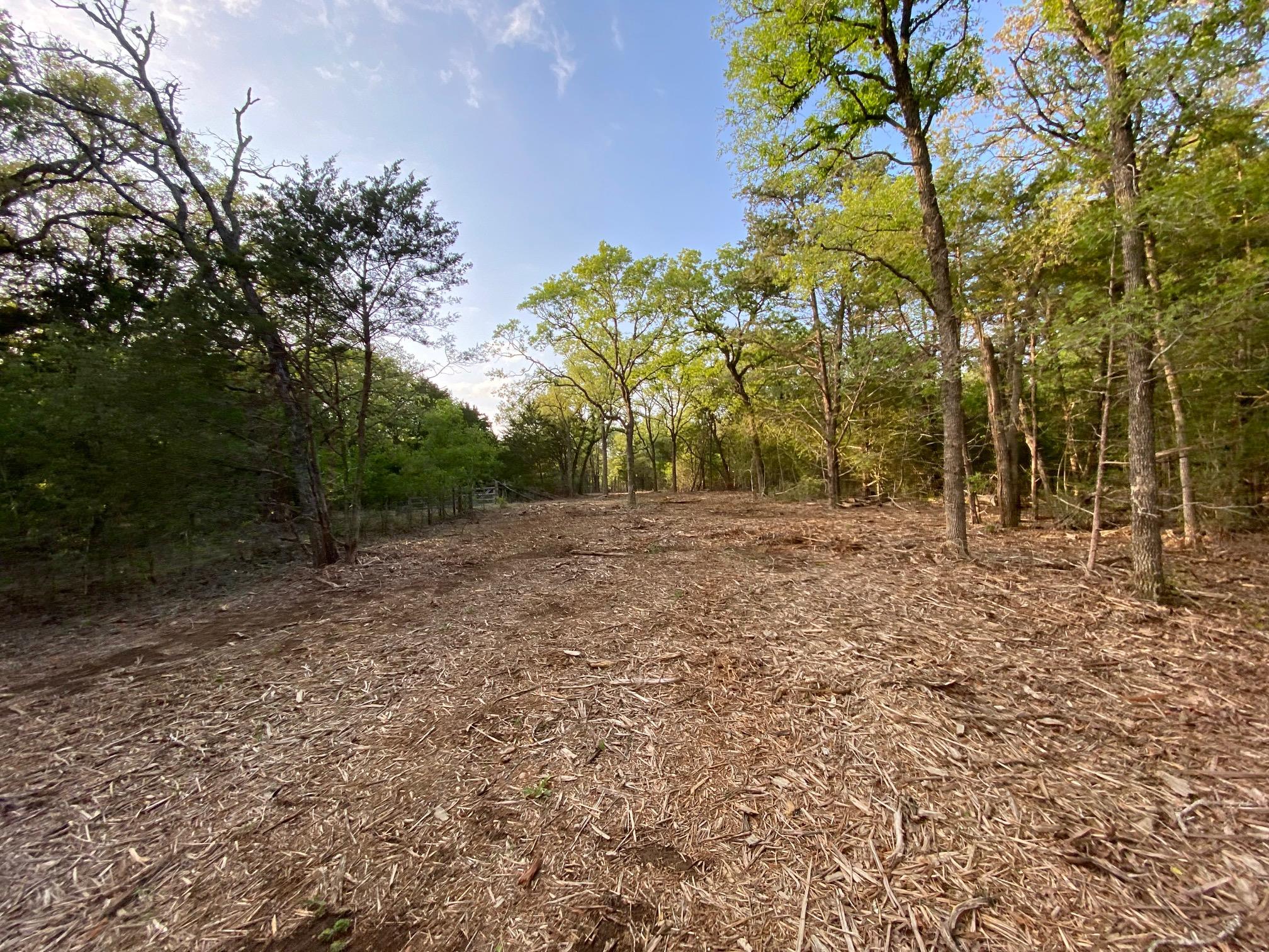 TBD Parcel 2 Paffen Dr, Paige, TX 78659
