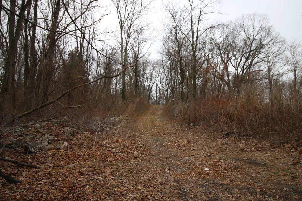 61 Buckout Road, West Harrison, NY 10604