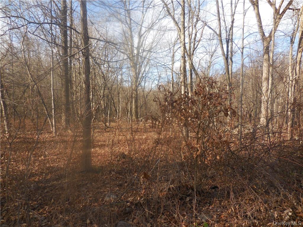 Lakeside Road, Newburgh, NY 12550