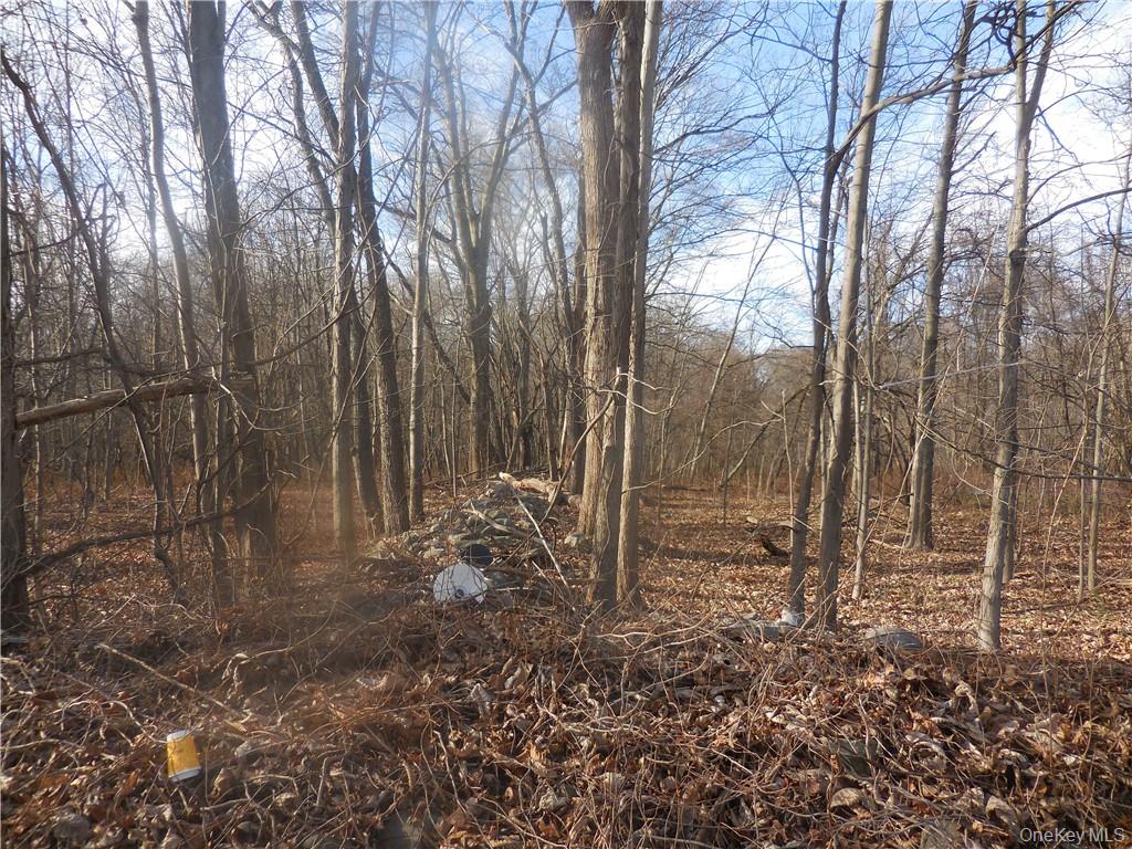 Lakeside Road, Newburgh, NY 12550