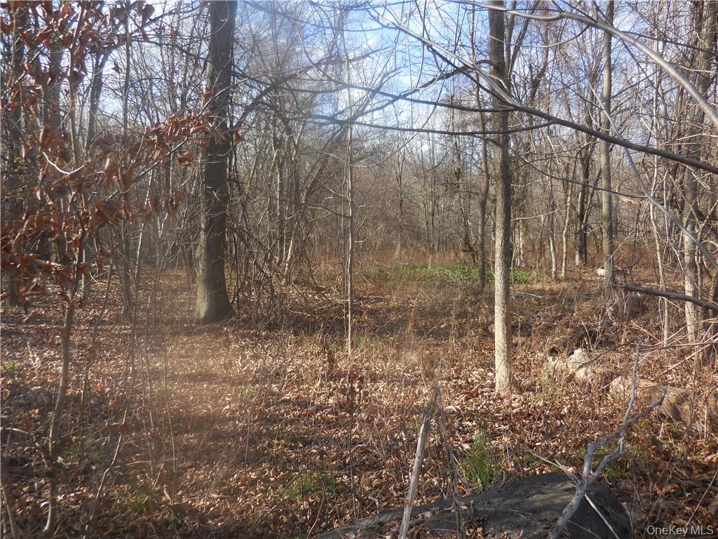 Lakeside Road, Newburgh, NY 12550