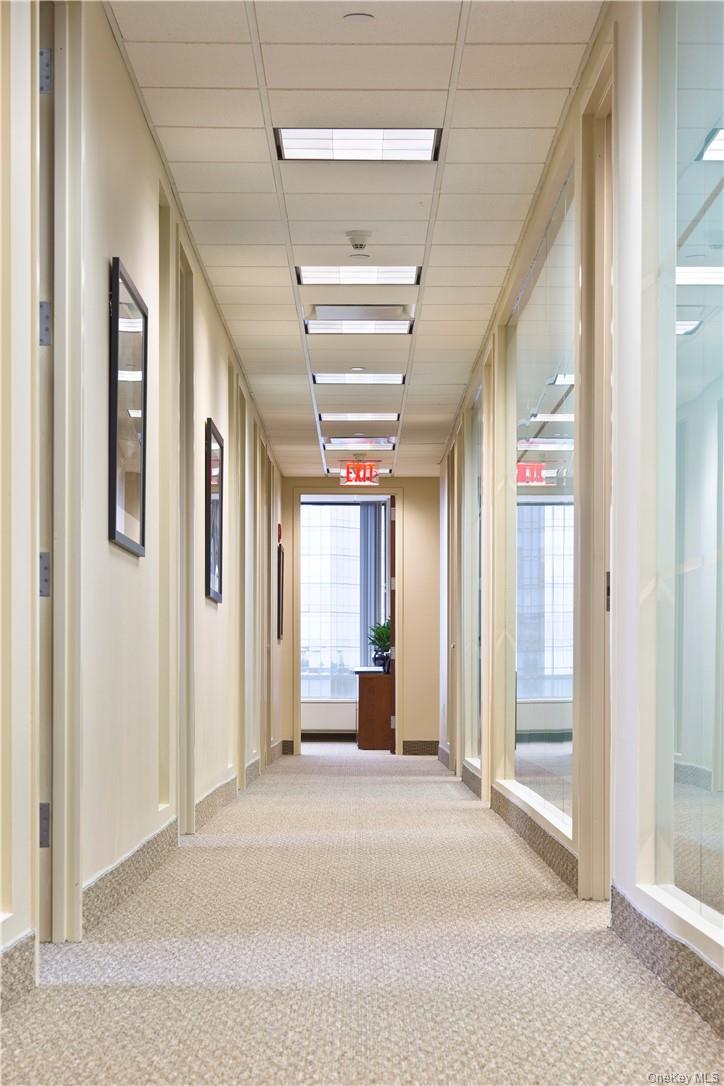 445 Hamilton Avenue # 1102, White Plains, NY 10601