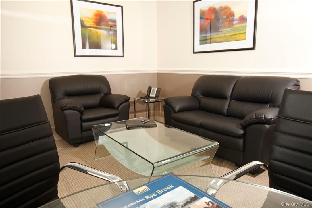 800 Westchester Avenue # N-641, Rye Brook, NY 10573