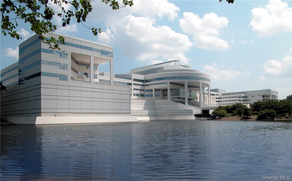 800 Westchester Avenue # N-641, Rye Brook, NY 10573