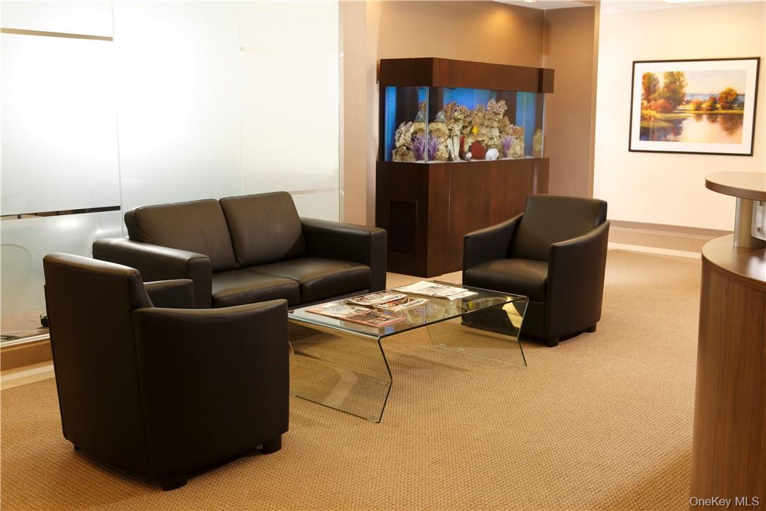 800 Westchester Avenue # N-641, Rye Brook, NY 10573